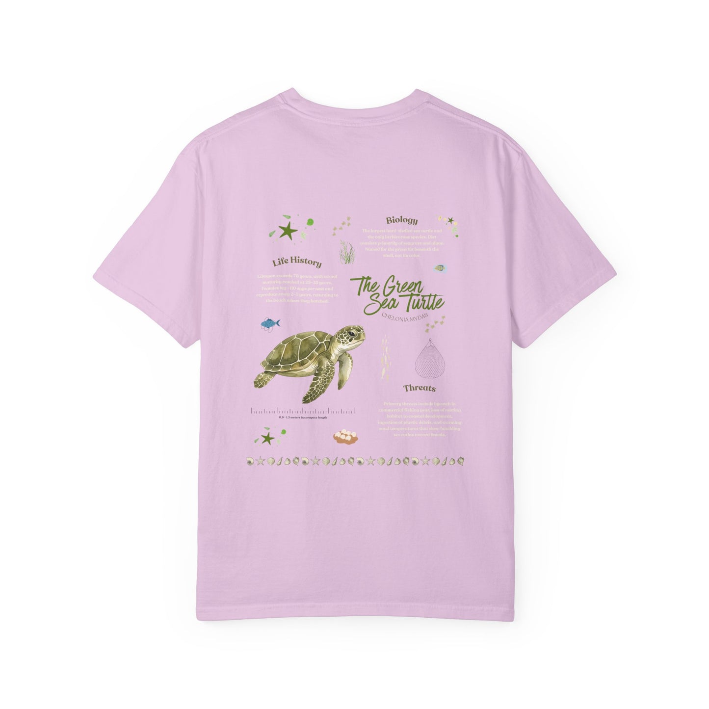 Green Sea Turtle Marine Biology Graphic T-shirt
