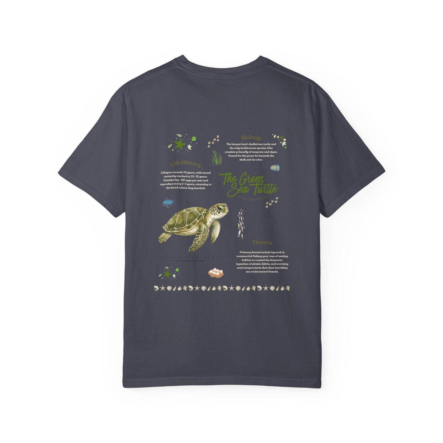Green Sea Turtle Marine Biology Graphic T-shirt