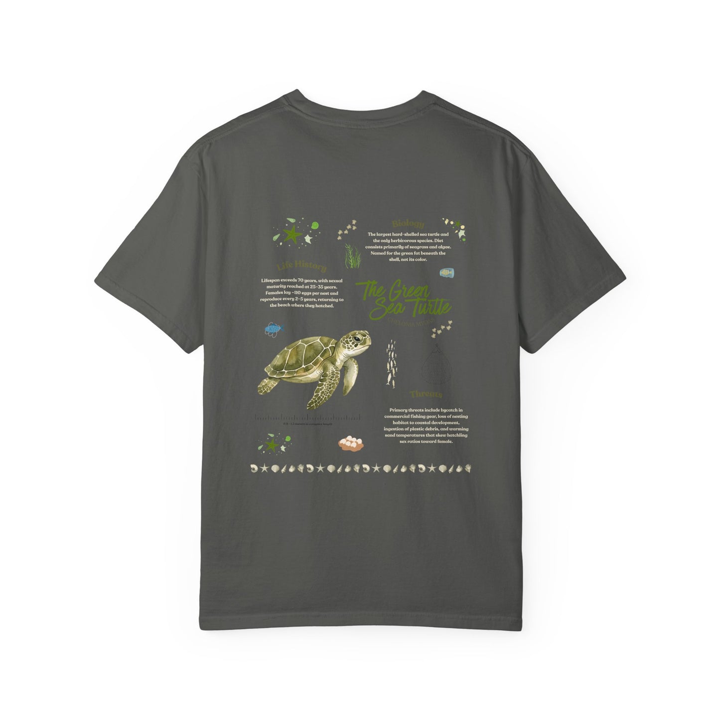 Green Sea Turtle Marine Biology Graphic T-shirt