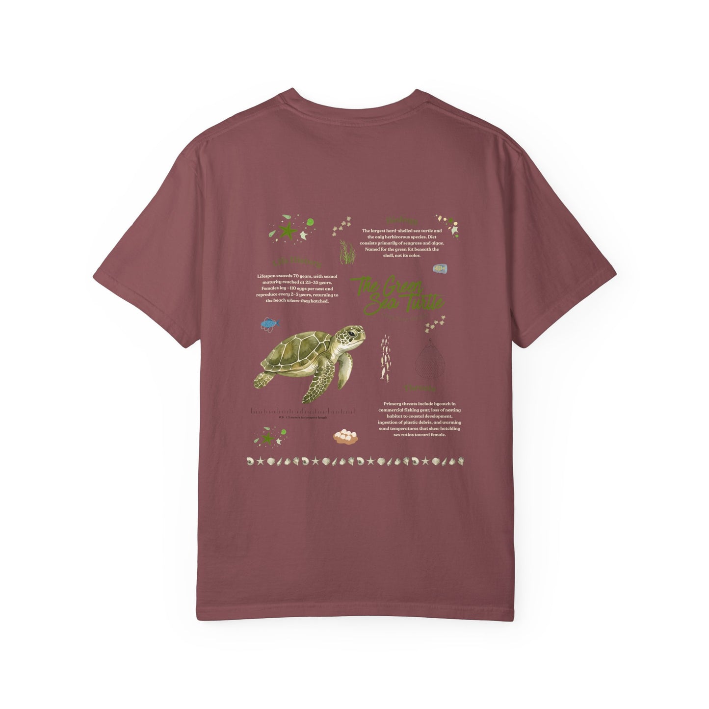 Green Sea Turtle Marine Biology Graphic T-shirt